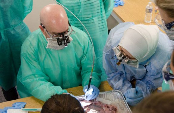 Hands-on Continuing Education